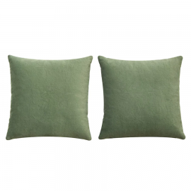 Birchcraft Textured 2 Piece Indoor Soft Throw Pillow Set - Mossgreen