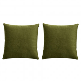 Birchcraft Textured 2 Piece Indoor Soft Throw Pillow Set - OLIVEGREEN
